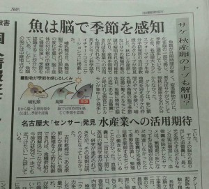 ７／３（水）