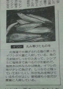 8／24③