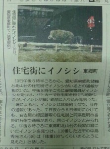 img20140111_052858